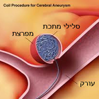 מפרצות של עורקי המוח Cerebral aneurysms